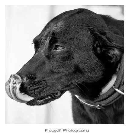Bonnie in Black and White – Part III - photo 2