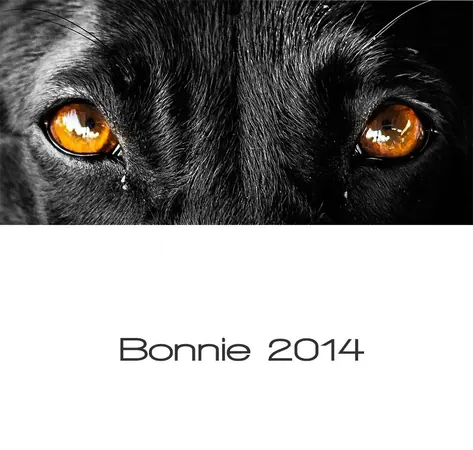 Bonnie in Black and White – Part III - photo 3