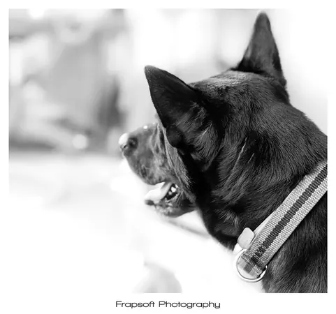 Bonnie in Black and White – Part III - photo 4