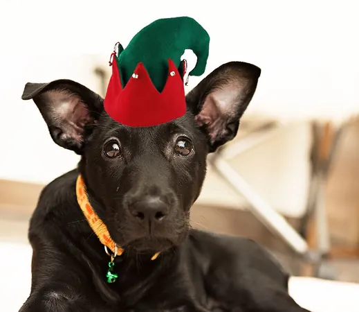 Happy Xmas - photo 4