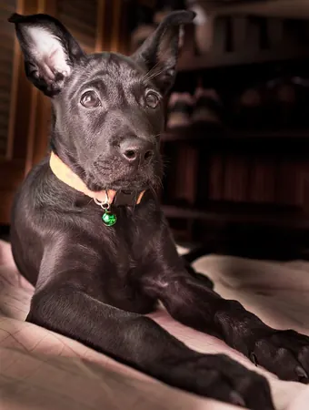 Bonnie Aka. Little Ms Naughty - photo 2