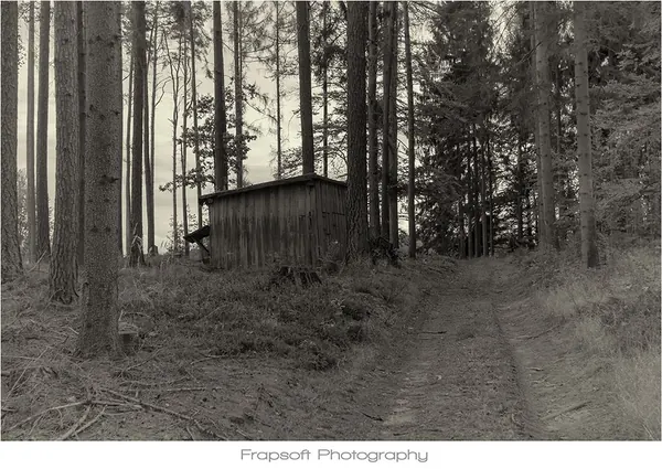 Borovná – Part I - photo 2