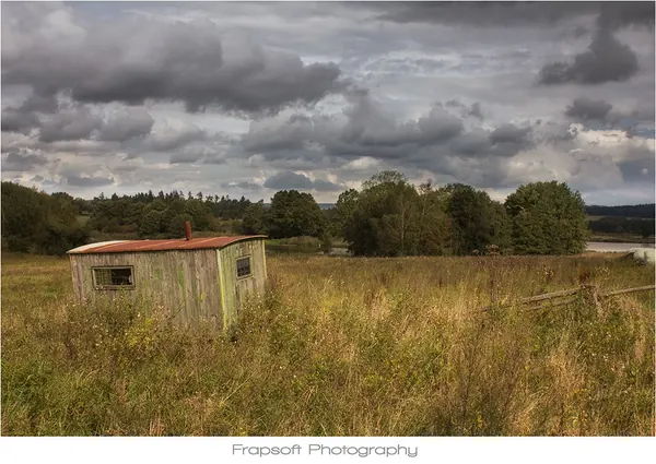 Borovná – Part II - photo 2