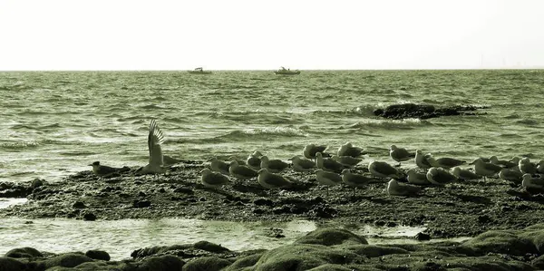 Brigthon Beach - photo 6