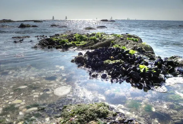 A Day on the Beach – Brigthon Beach :: HDR