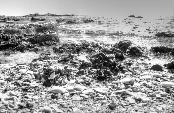 A Day on the Beach – Brigthon Beach :: HDR - photo 2