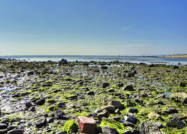 A Day on the Beach – Brigthon Beach :: HDR - photo 4