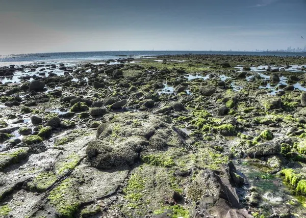 A Day on the Beach – Brigthon Beach :: HDR - photo 5