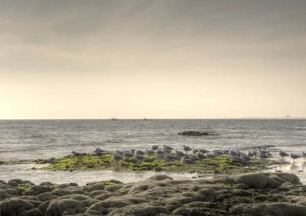 A Day on the Beach – Brigthon Beach :: HDR - photo 10