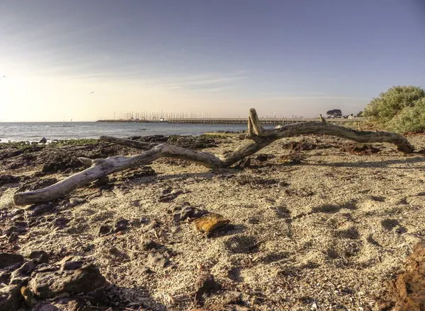 A Day on the Beach – Brigthon Beach :: HDR - photo 11