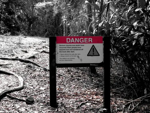 Cairns Jungle Hiking - photo 8
