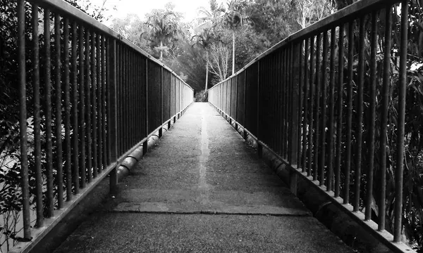 Another Sunny Day in Cairns ... - photo 4