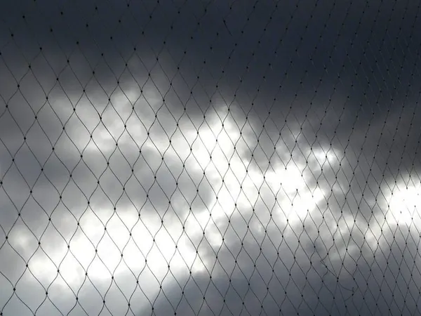 Another Sunny Day in Cairns ... - photo 12