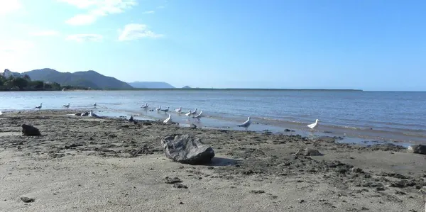 Cairns, Queensland, Australia - photo 10