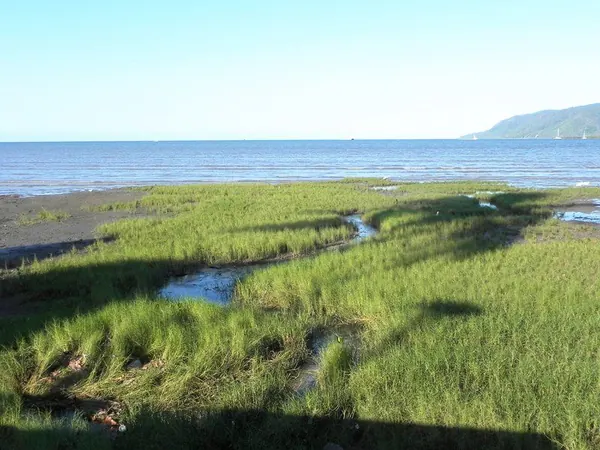 Cairns, Queensland, Australia - photo 12