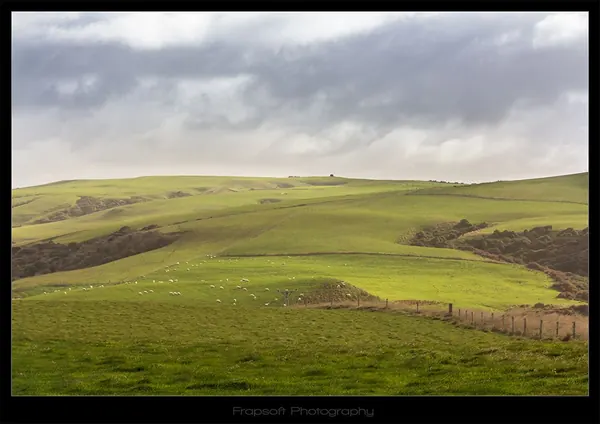 Catlins – Part I