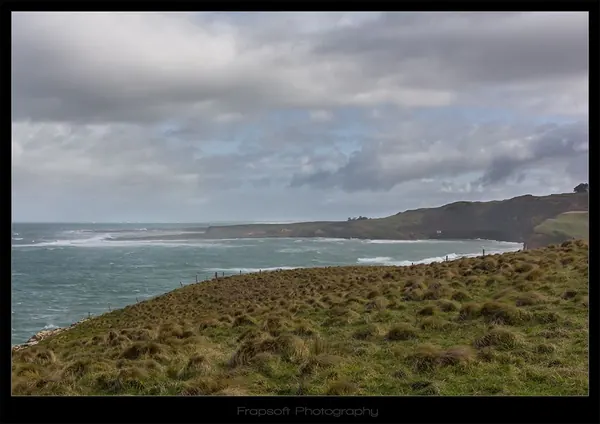 Catlins – Part I - photo 2