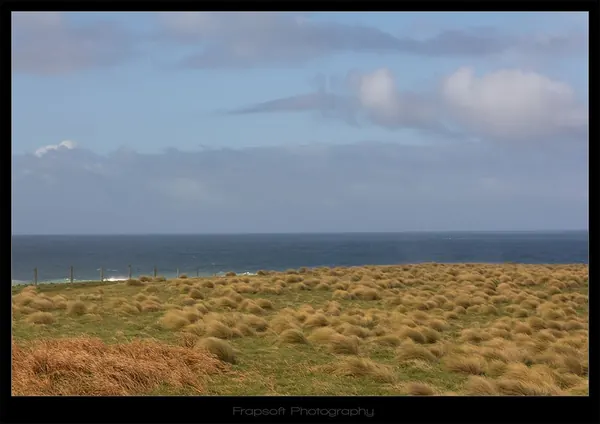 Catlins – Part I - photo 3