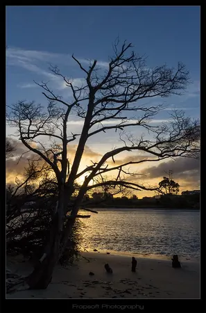 Catlins – Part III - photo 2