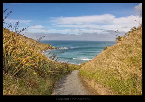 Catlins – Part IV - photo 2