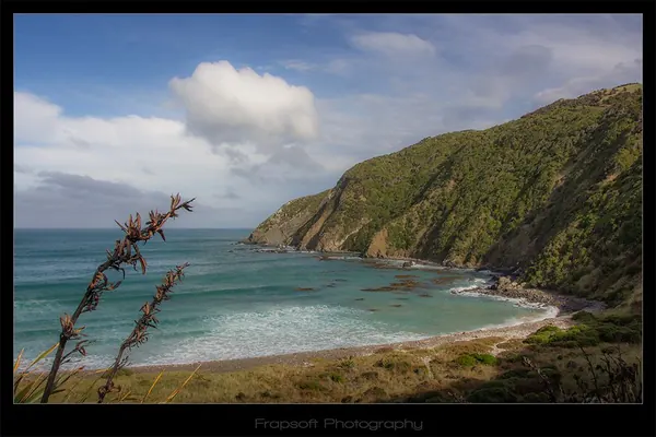 Catlins – Part IV - photo 3