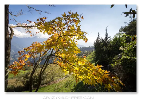 Central Taiwan Mountains – Part I - photo 3
