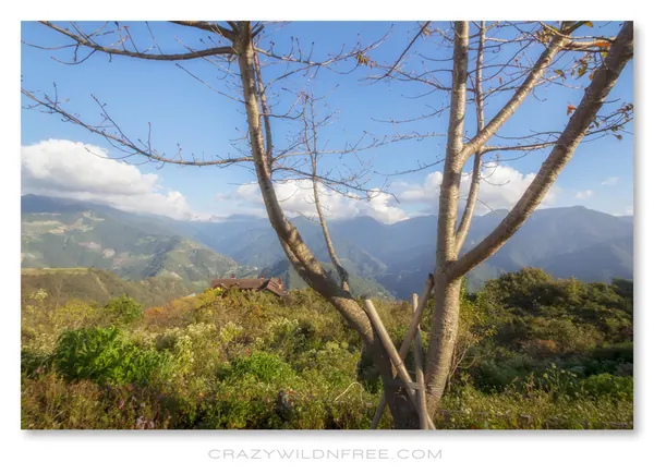 Central Taiwan Mountains – Part II