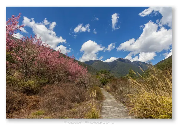 Central Taiwan Mountains – Taoshan – Part I - photo 2