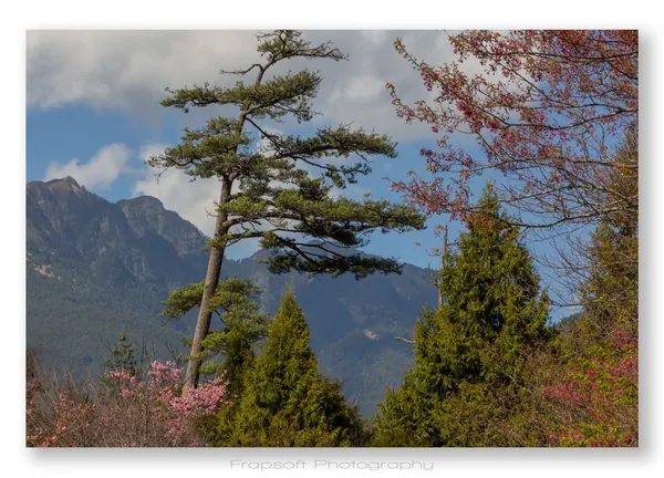 Central Taiwan Mountains – Taoshan – Part I - photo 4