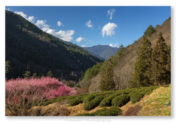 Central Taiwan Mountains – Taoshan – Part II - photo 2
