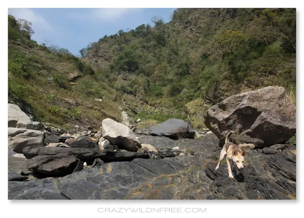 Chiamu Mountains – Part II - photo 3