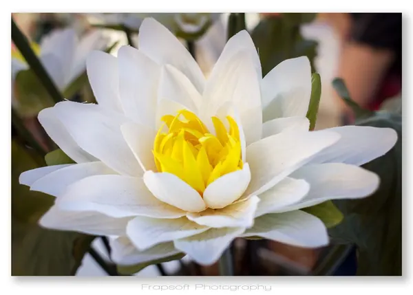 Chiang Mai – Part III