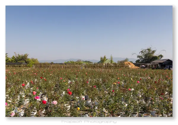 Chiang Rai – Part I - photo 3