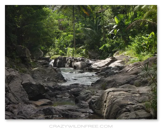 Chilling on the River - photo 4