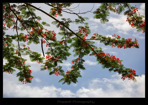 Countryside Thailand – Part II