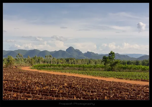 Countryside Thailand – Part II - photo 3