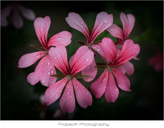 Culture and Flowers - photo 2