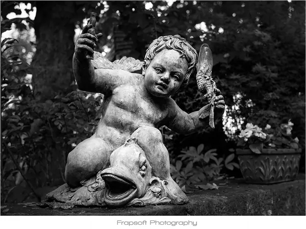 Culture and Flowers - photo 4