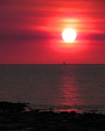 Darwin Sea