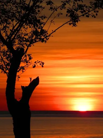 Road Trip: Broome to Darwin – Day 1 - photo 5
