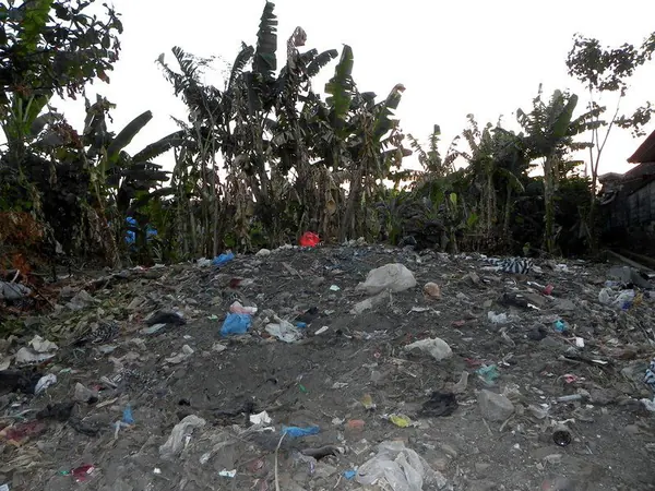 Denpasar Ubung - photo 6