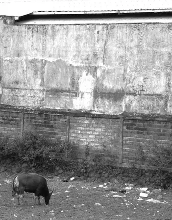 Denpasar – Gray in Gray - photo 8