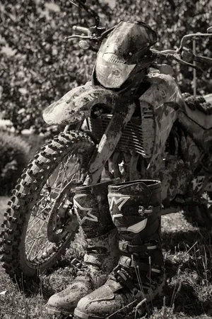 Damn U Wild Pig Mudhole!