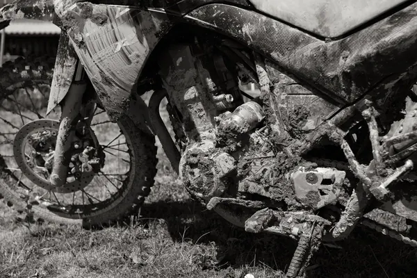 Damn U Wild Pig Mudhole! - photo 3