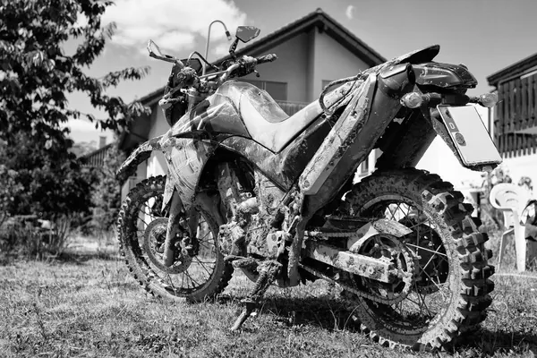 Damn U Wild Pig Mudhole! - photo 4