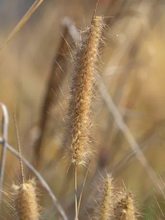 Darwin – Part I - photo 4