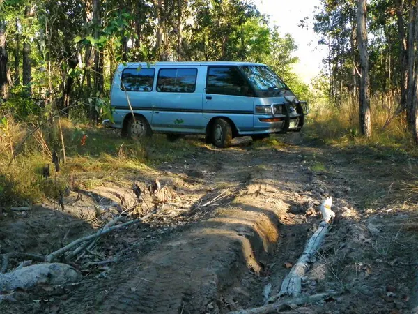 Darwin – Part I - photo 12