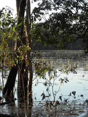 Darwin – Part I - photo 13