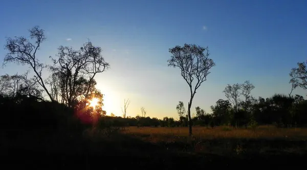 Darwin – Part I - photo 15