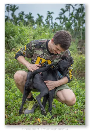 Our Dogs - photo 2